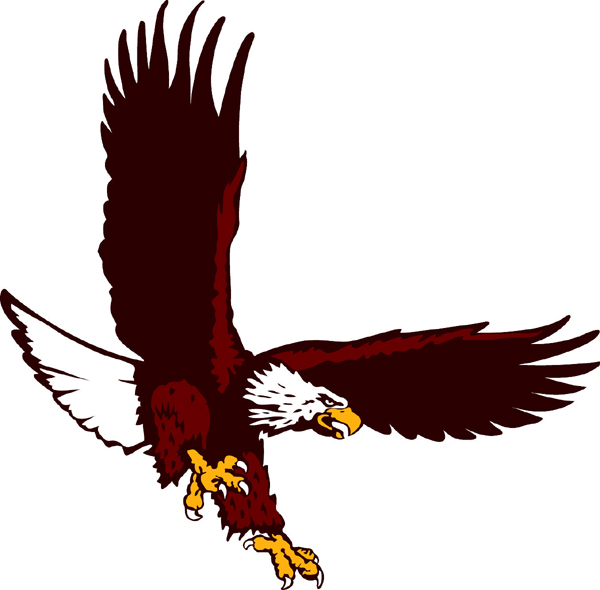 Eagle team mascot full color vinyl sports sticker. Customize on line. Eagle 3
